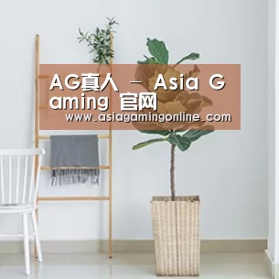 产品名称六
