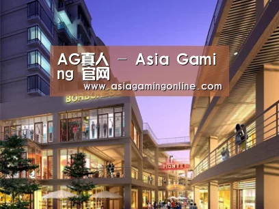展示一(图1)