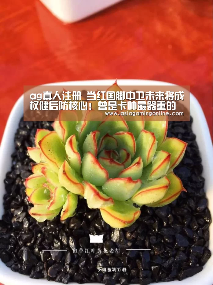ag真人注册_当红国脚中卫未来将成权健后防核心!曾是卡帅最器重的妖星(图1) ag真人注册
