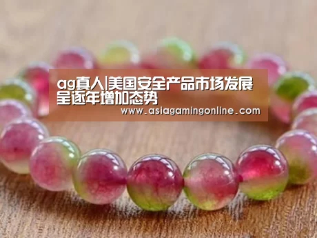 ag真人|美国安全产品市场发展呈逐年增加态势(图2) ag真人直播