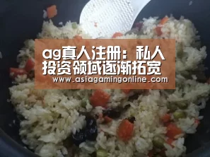 ag真人注册:私人投资领域逐渐拓宽至股票、信托和房地产(图1) ag真人