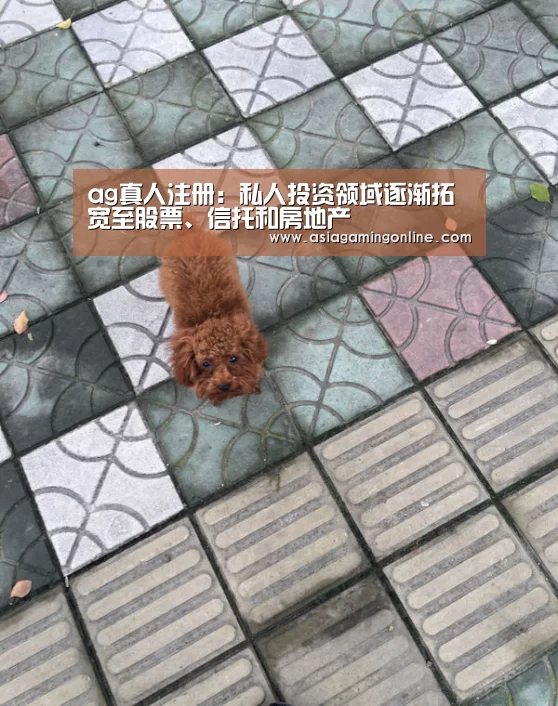ag真人注册:私人投资领域逐渐拓宽至股票、信托和房地产(图2) ag真人注册